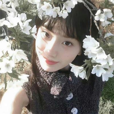 飞哥正传